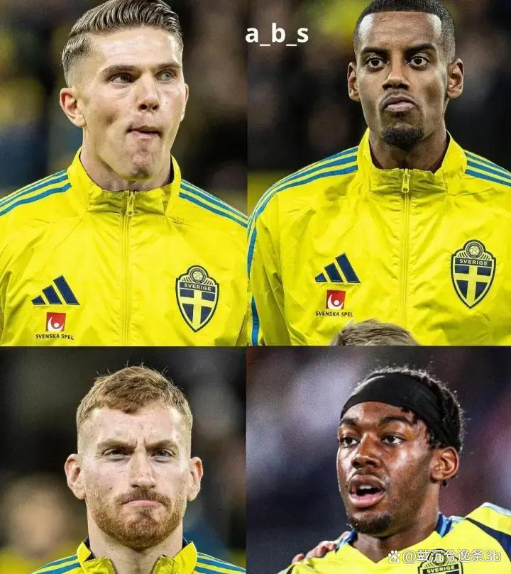 熊猫tv-瑞典比赛视频  第2张